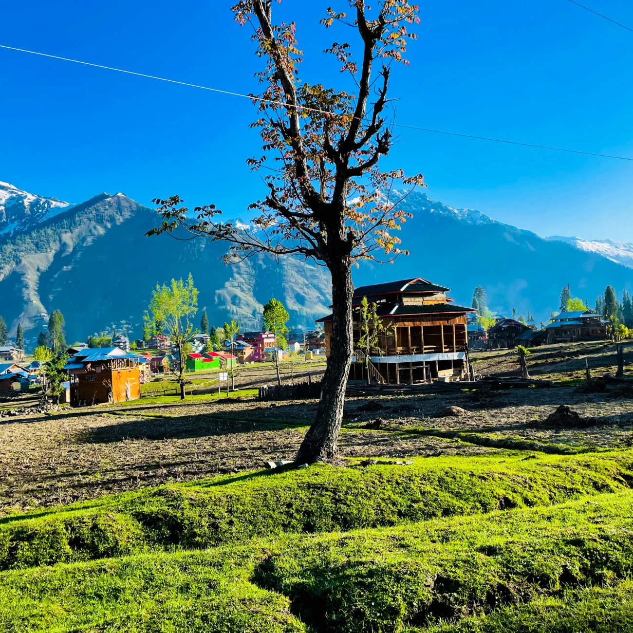 KASHMIR